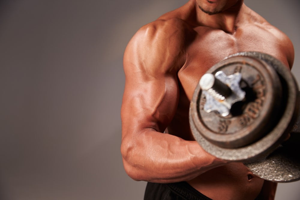 bodybuilder